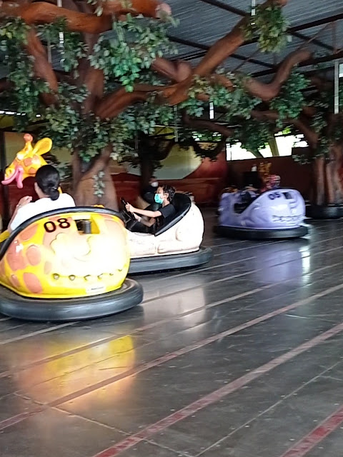 Ada Apa Saja di Jatim Park 2? Main bom bom car di Batu Secret Zoo