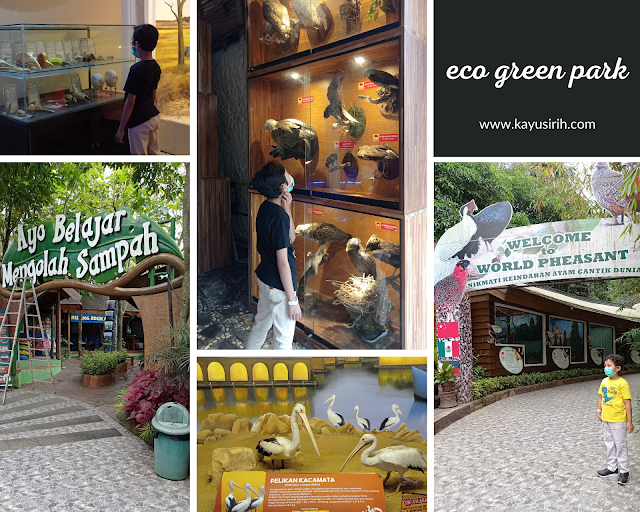Perbedaan Eco Green Park dan Batu Secret Zoo Eco Green Park Malang